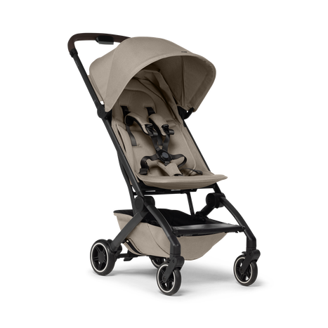 Travel buggy for clearance 4 month old